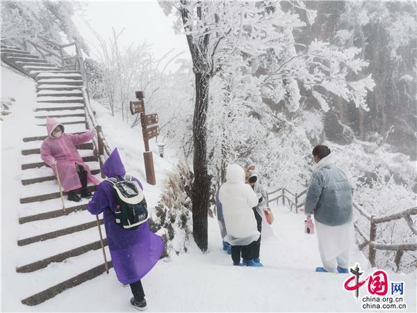 安徽黄山又又又降雪啦！惊羡游客 催热赏雪游